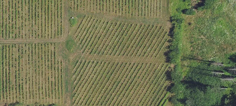Sherwood, OR 97140