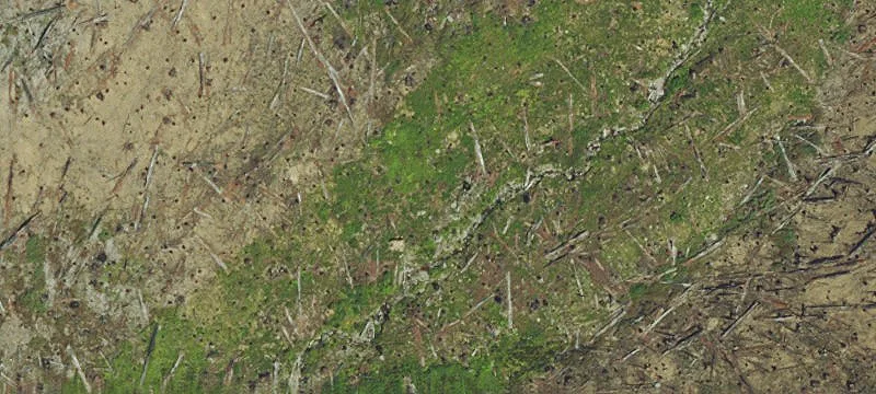 Idanha, OR 97350