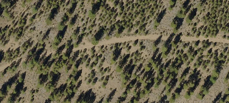 Dead Indian Mt