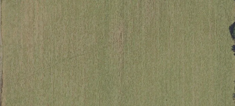 Lebanon, OR 97355