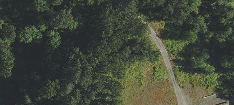 Harrisburg, OR 97446