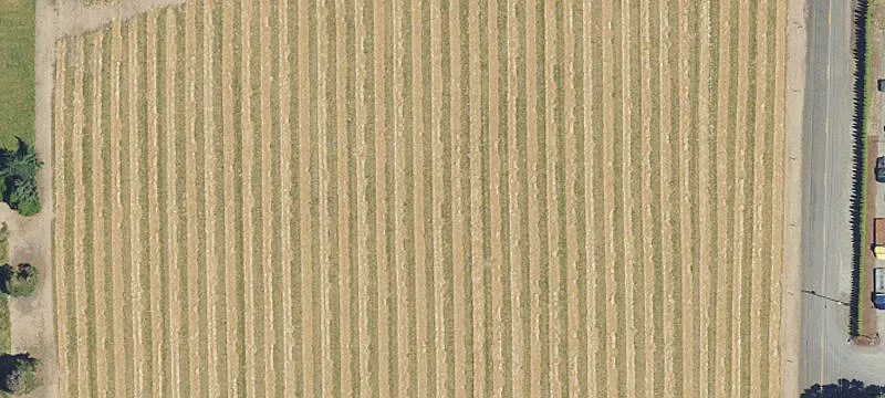 Hubbard, OR 97032