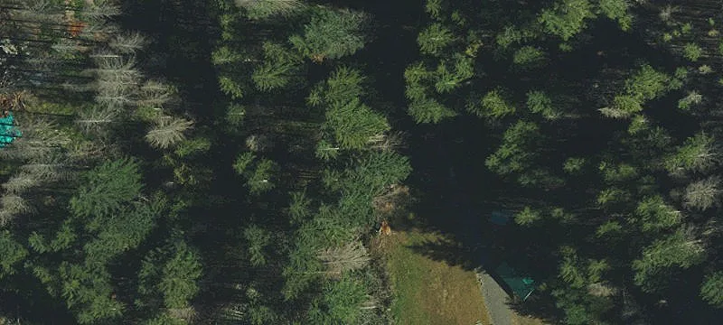 42000 Frk SE Rd