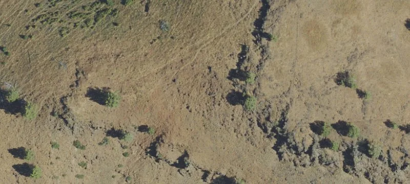 Long Creek, OR 97856