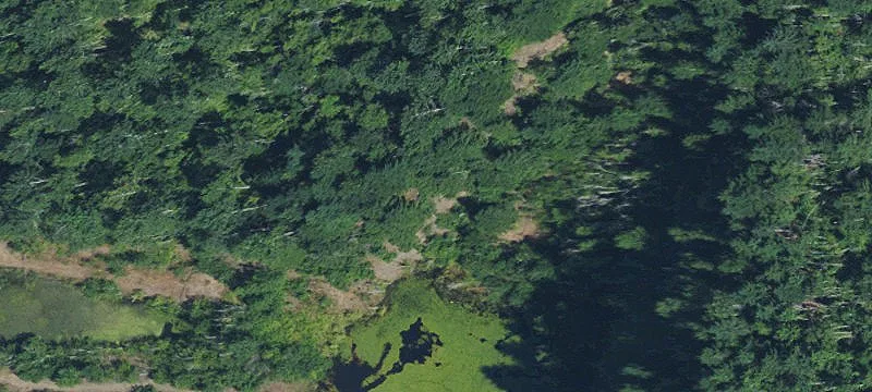 Eagle Creek, OR 97022