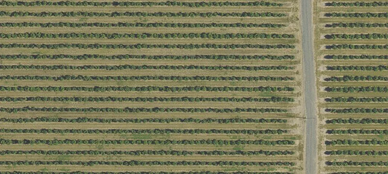 Aumsville, OR 97325