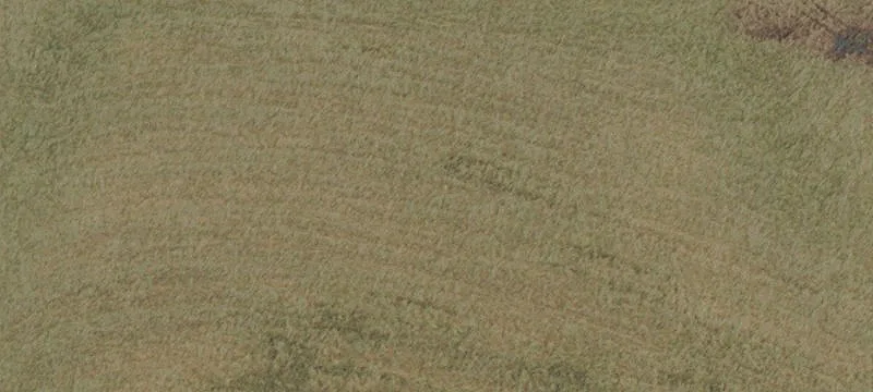 Lebanon, OR 97355