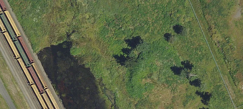 Lebanon, OR 97355