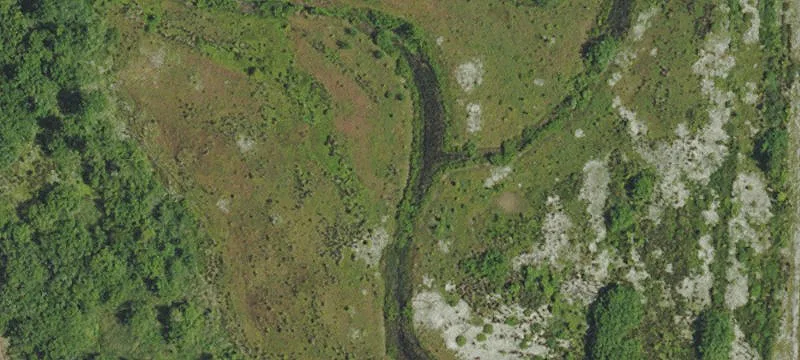 Corvallis, OR 97333