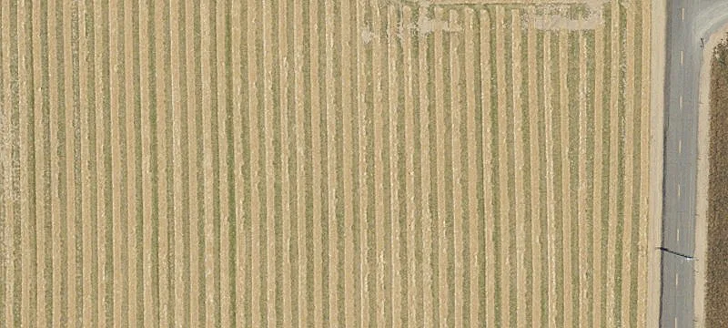Hubbard, OR 97032