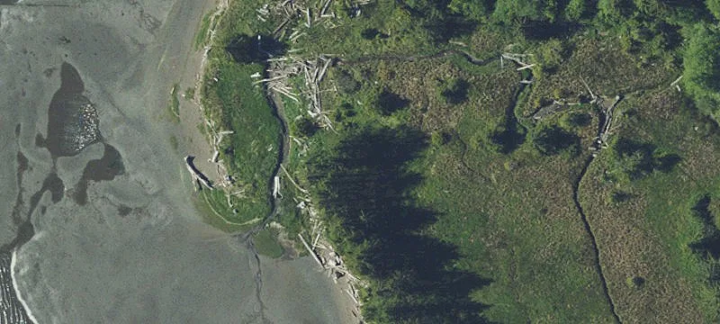 Bay City, OR 97107