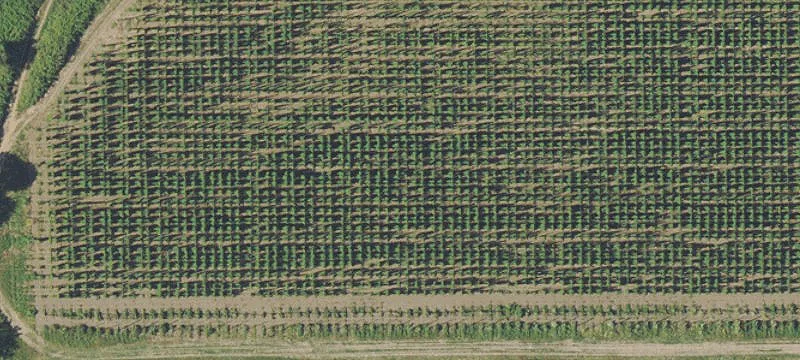 Saint Paul, OR 97137