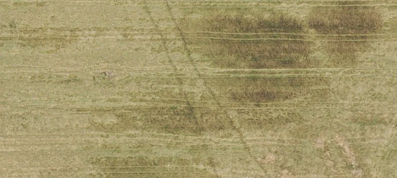 Banks, OR 97106