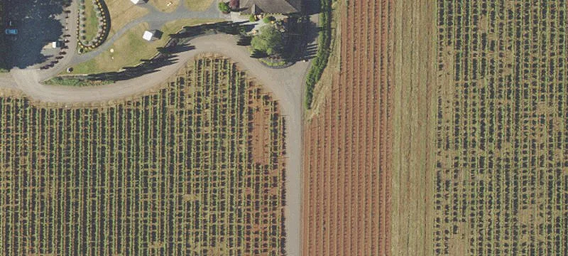 Dayton, OR 97114