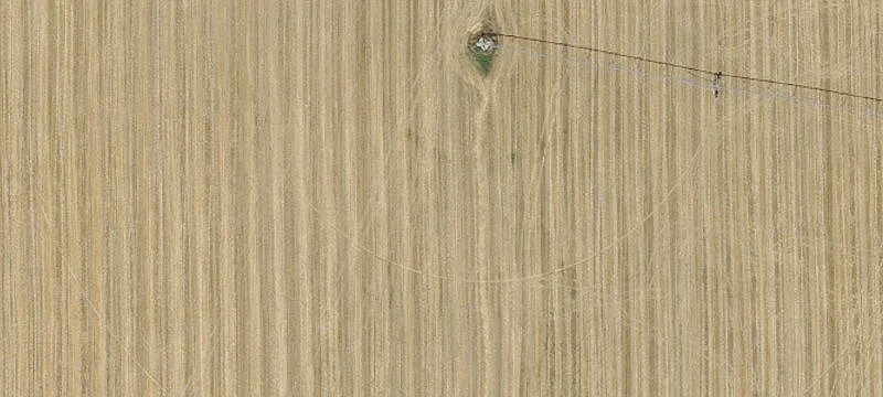 Richland, OR 97870