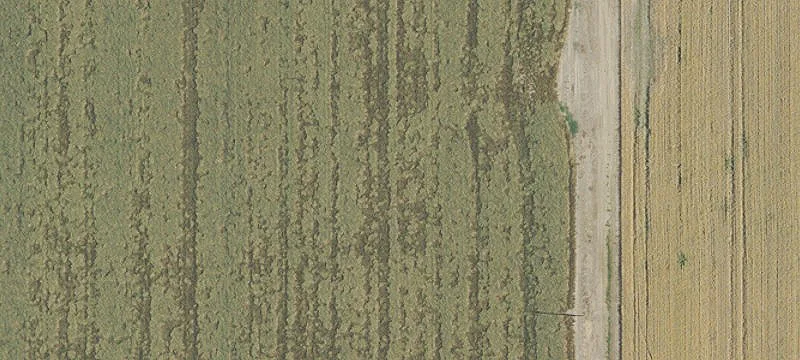 Gervais, OR 97026