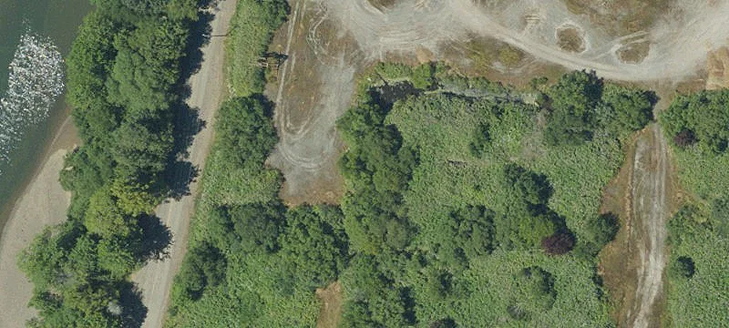 Myrtle Point, OR 97458