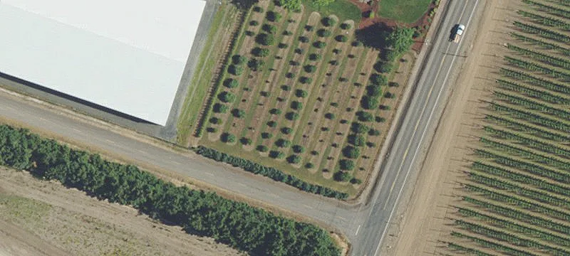 Woodburn, OR 97071