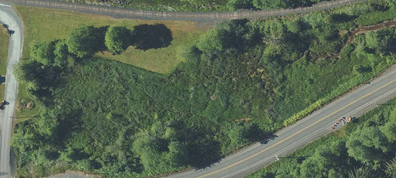 Wheeler, OR 97147