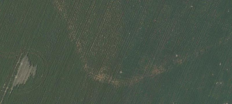 Gervais, OR 97026