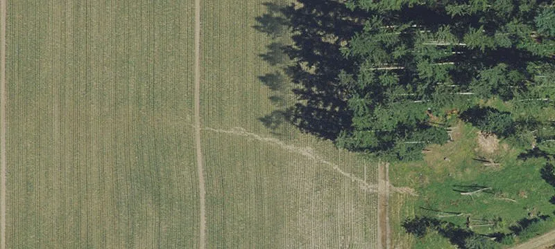 Gervais, OR 97026