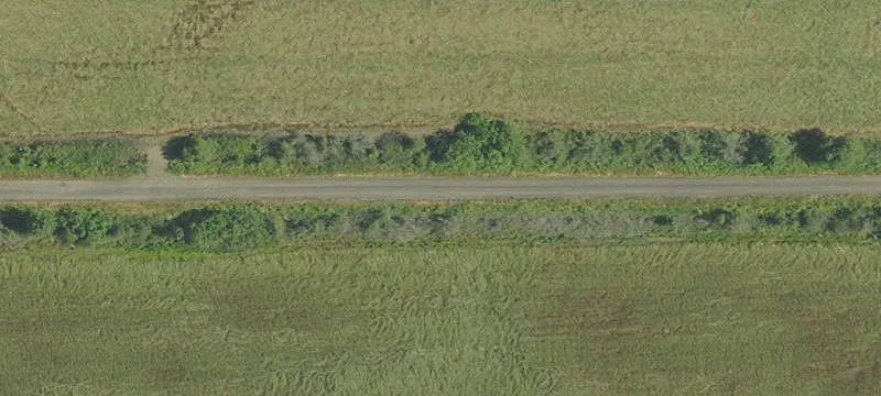 Lebanon, OR 97355