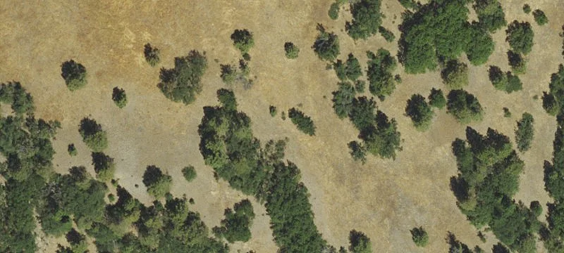 Old Hwy 99