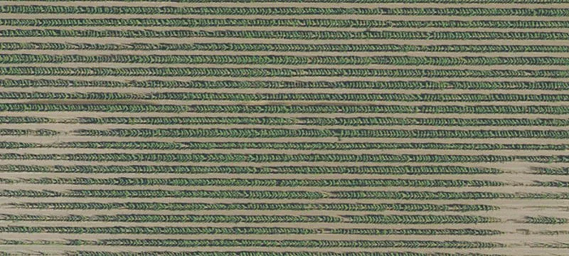 Saint Paul, OR 97137