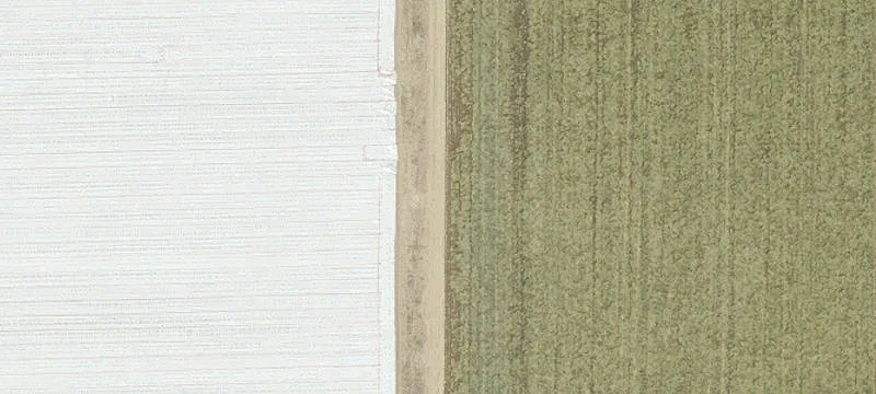 Dayton, OR 97114