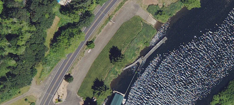 Alsea, OR 97324
