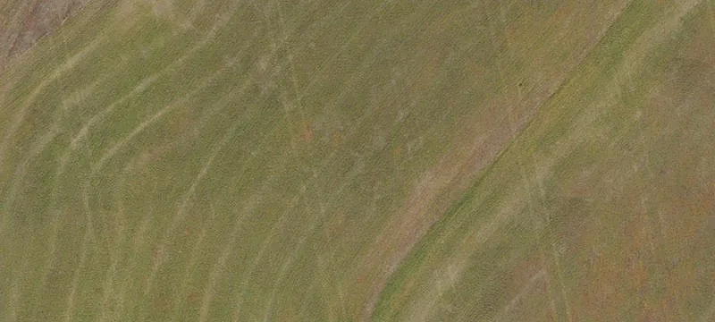 Condon, OR 97823