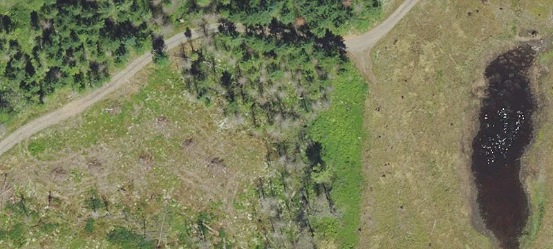 Gates, OR 97346
