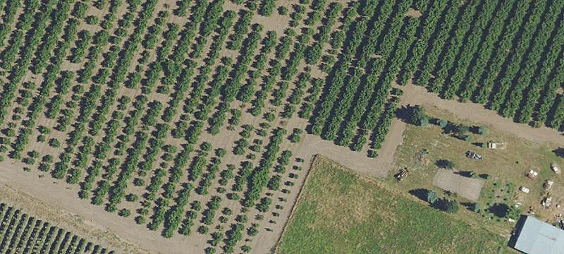 Woodburn, OR 97071