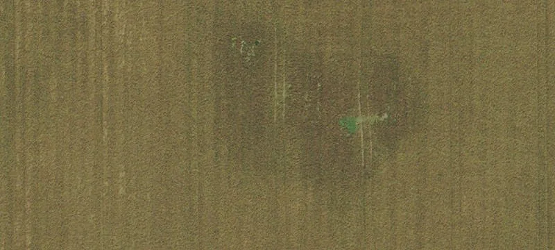 Tangent, OR 97389