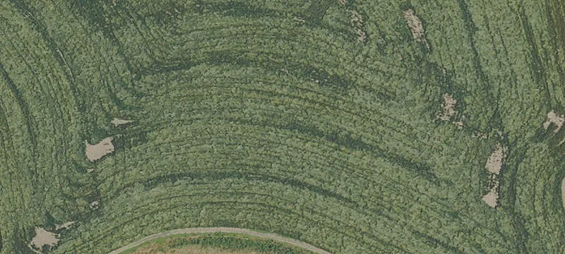 Lebanon, OR 97355