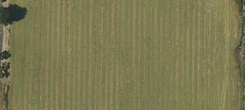 Milton Freewater, OR 97862