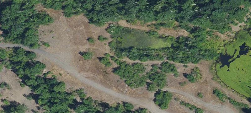 Eagle Creek, OR 97022