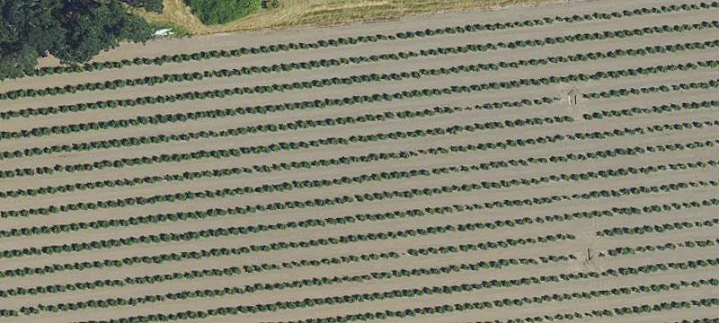 Aurora, OR 97002