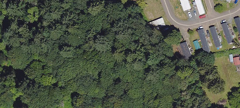Cottage Grove, OR 97424