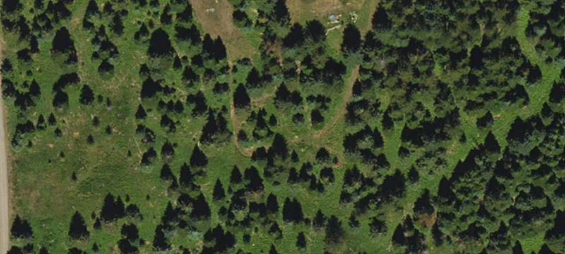 Weston, OR 97886
