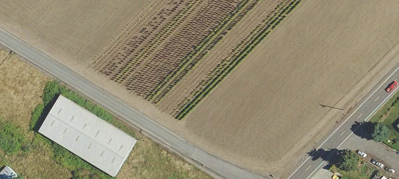 Hubbard, OR 97032