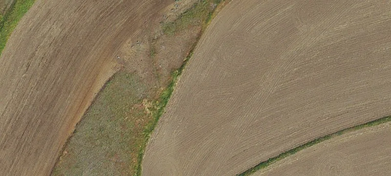 Condon, OR 97823