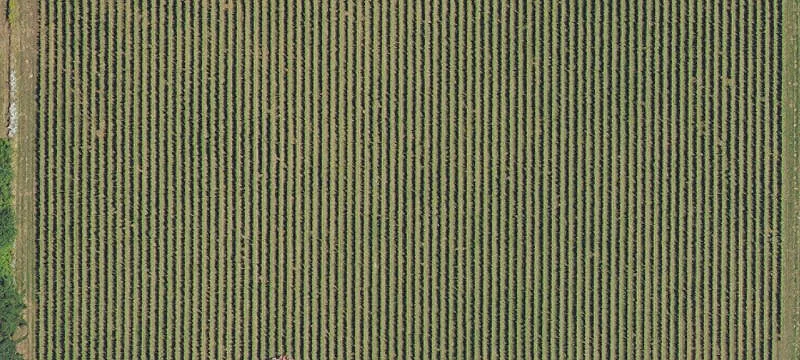 Sherwood, OR 97140