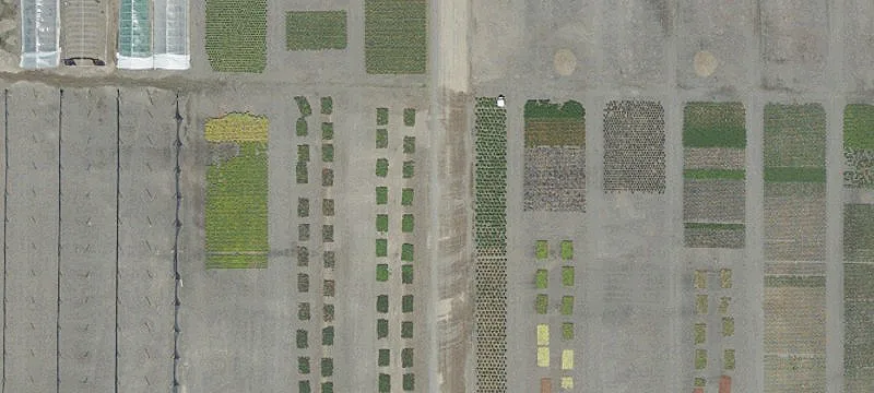 Yamhill, OR 97148