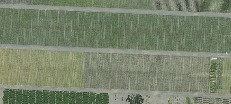Dayton, OR 97114