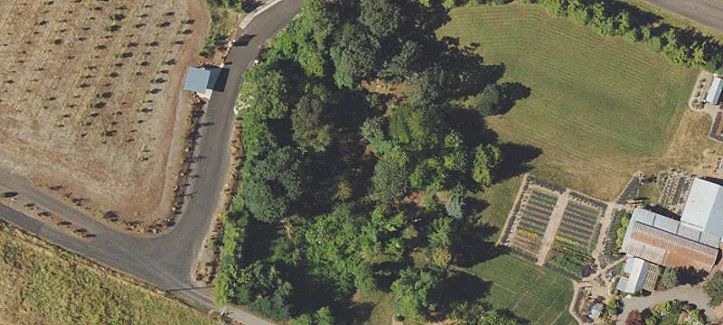 Salem, OR 97317