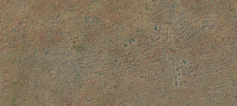 Condon, OR 97823