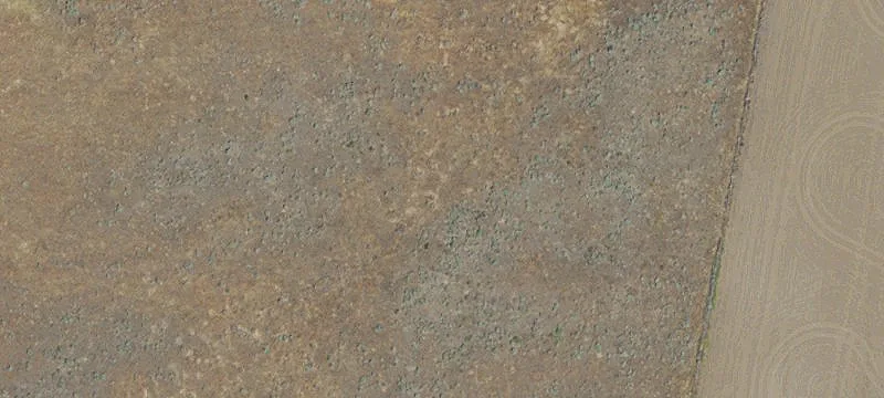 Arlington, OR 97812
