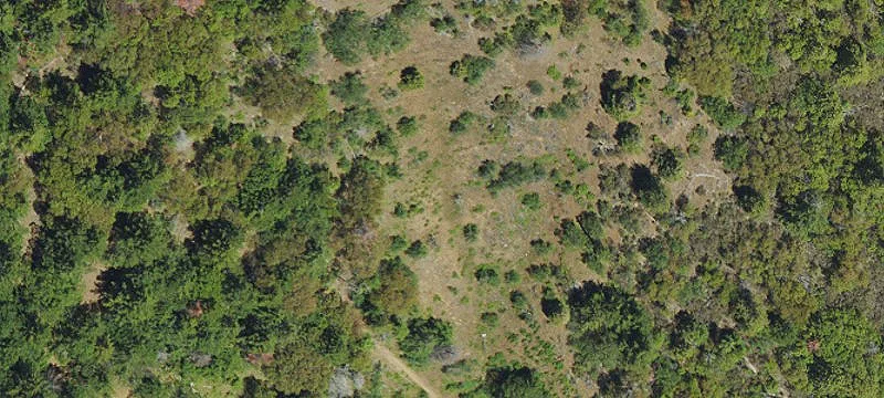 Timber Mtn Rd