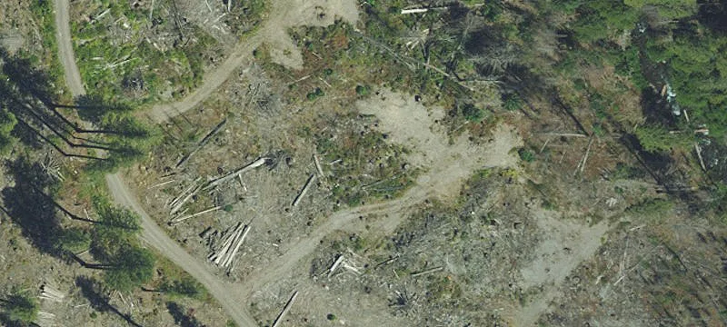 Detroit, OR 97342